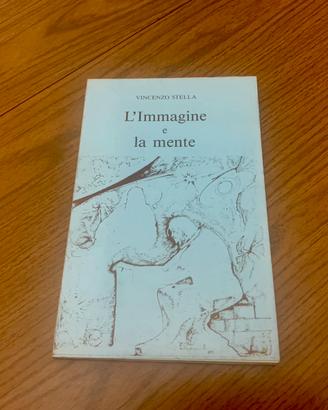 Libro l’immagine e la mente di vincenzo stella