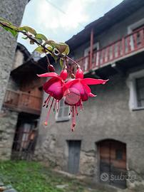 CASA DI CORTE A ARVIER