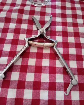 Masticatore 