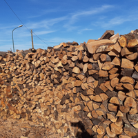 Legna consegna in tempi record