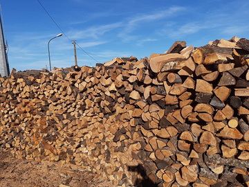 Legna consegna in tempi record