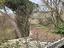 Immagine 11