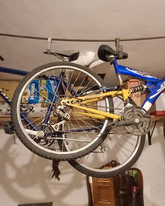 bike + bici