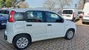 fiat-panda-1-2-easy-ben-tenuta-5-posti-euro-6b