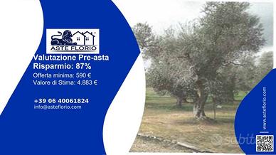 Immobile in asta di 3815 m² a Scorrano