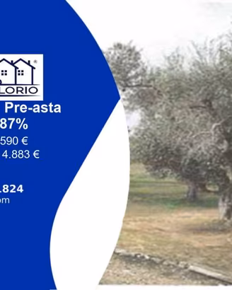 Immobile in asta di 3815 m² a Scorrano