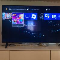 Ps 4 in buone condizioni