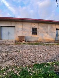 Terreno + fabbricato agricolo Francavilla Angitola