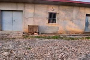 Terreno + fabbricato agricolo Francavilla Angitola