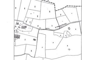 Terreno Agricolo Amantea [281120VCG]