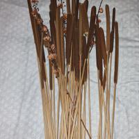 Lotto di 50 giunchi di palude o tifa artificiale