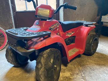 Quad Polaris Peg Perego