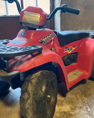 Quad Polaris Peg Perego