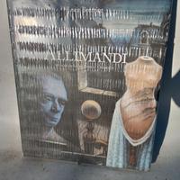libro monografia Enrico Allimandi pittore Torino 