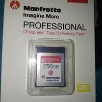 Manfrotto Professional Scheda di Memoria 256GB
