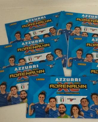 Figurine Panini 2024