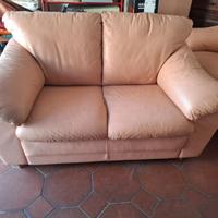 Divani in pelle