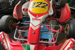 Kart birel
