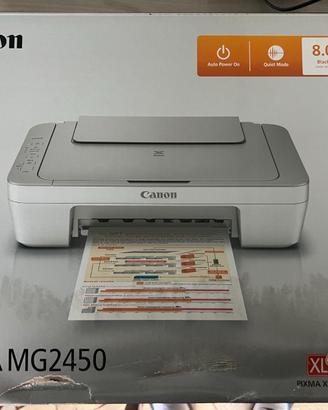 Stampante Canon Pixma MG2450