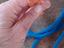Immagine 5
