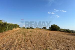 Terreno - Caltagirone