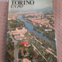 Libri su Torino