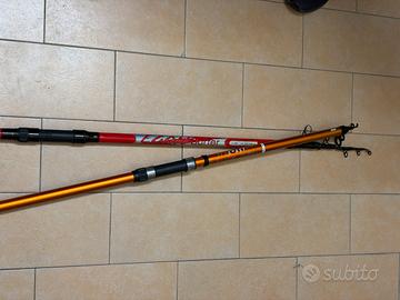 Canne da pesca + mulinello