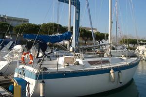 Nordcantieri Costaguta PANDA 31