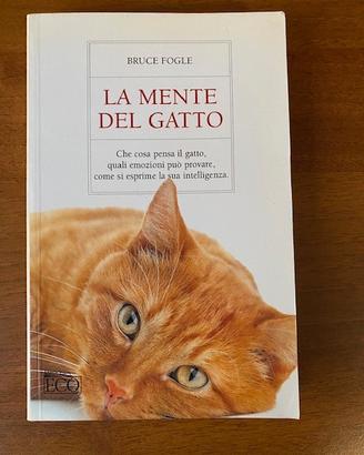 Libri