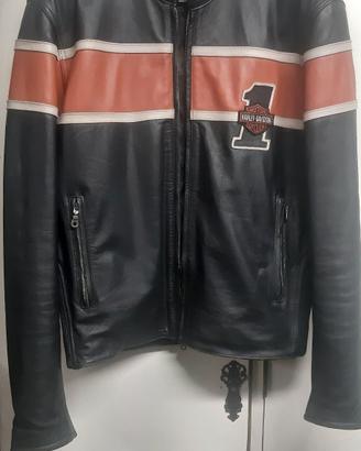 GIUBBINO HARLEY
