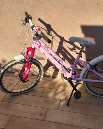 bicicletta 