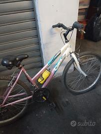 Bicicletta da donna Cups 