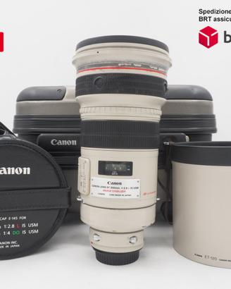 Canon EF 300 F2.8 L IS USM (Canon)