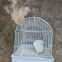 Gabbietta per criceti