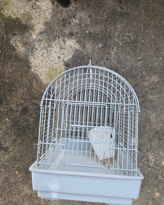 Gabbietta per criceti