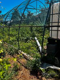 Terreno agricolo