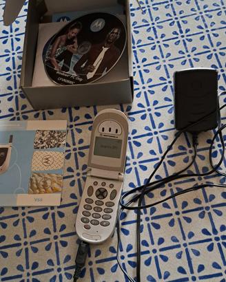 Cellulare Motorola V66 