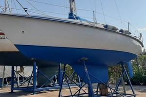 Barca a vela  Edel 6