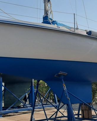 Barca a vela  Edel 6