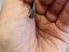 Immagine 5