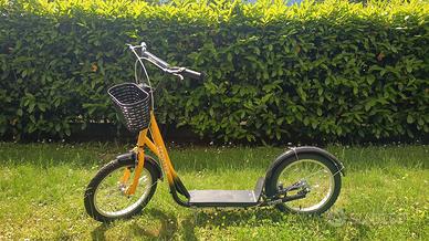 Monopattino ruote grandi