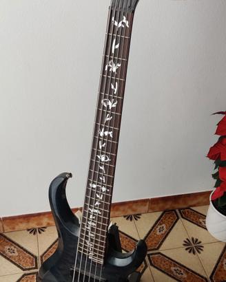 Basso Ibanez 