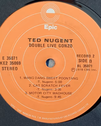 DISCHI Vinile Rock SENZA COPERTINE