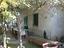 Immagine 8