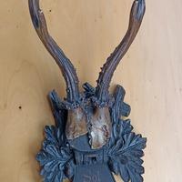 corna di capriolo