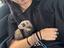 Immagine 4