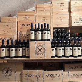 Collezione Sassicaia