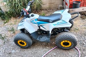 quod 110