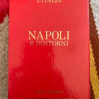 Napoli e dintorni 2005 L’Italia 7