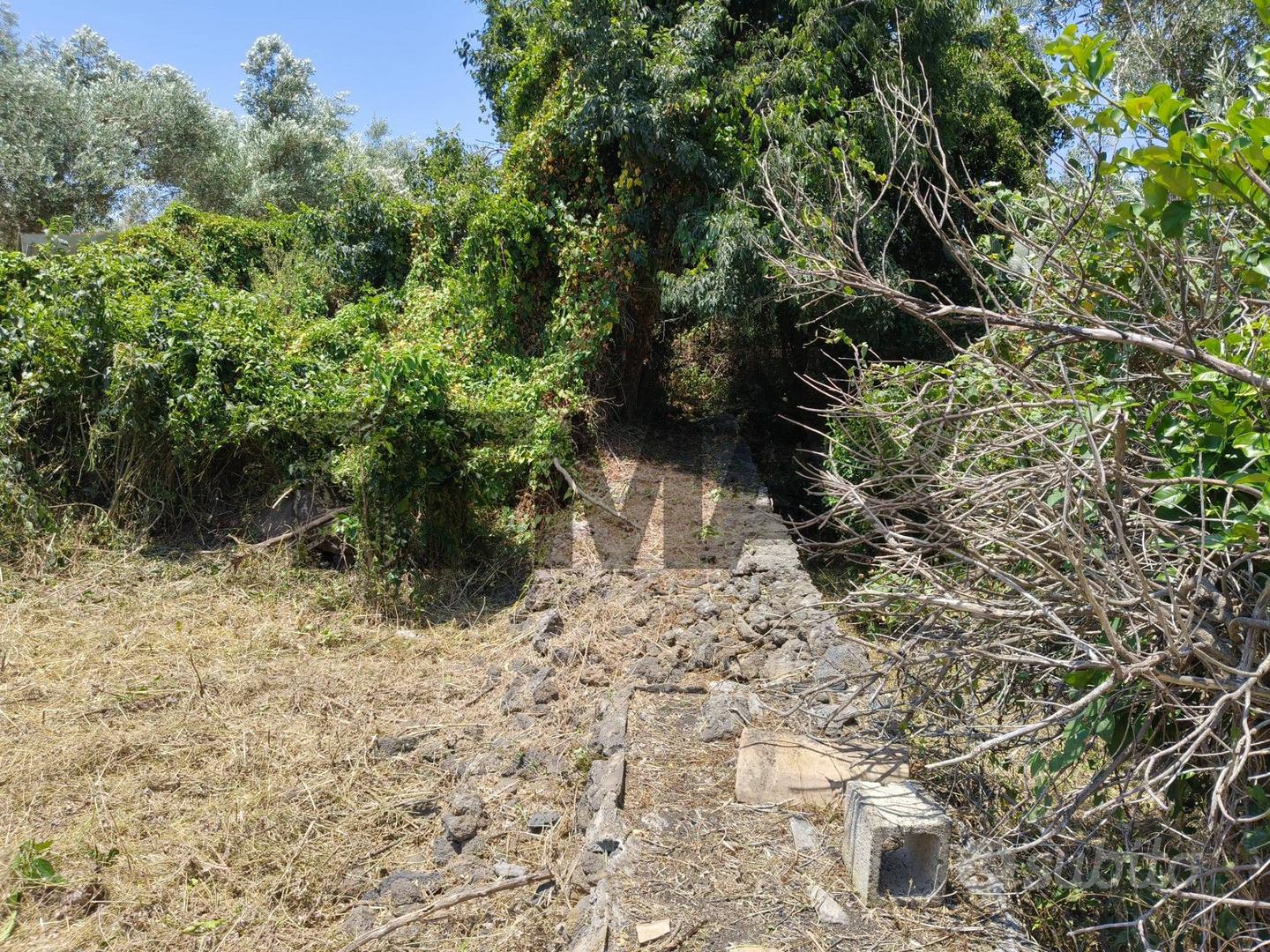 Terreno - Misterbianco - Vista 2